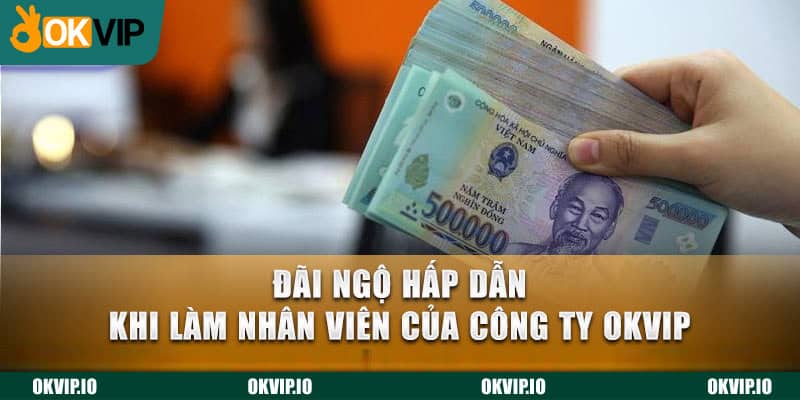 Đãi ngộ hấp dẫn khi làm nhân viên của OKVIP