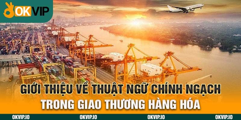 Giới thiệu về thuật ngữ chính ngạch trong giao thương hàng hóa