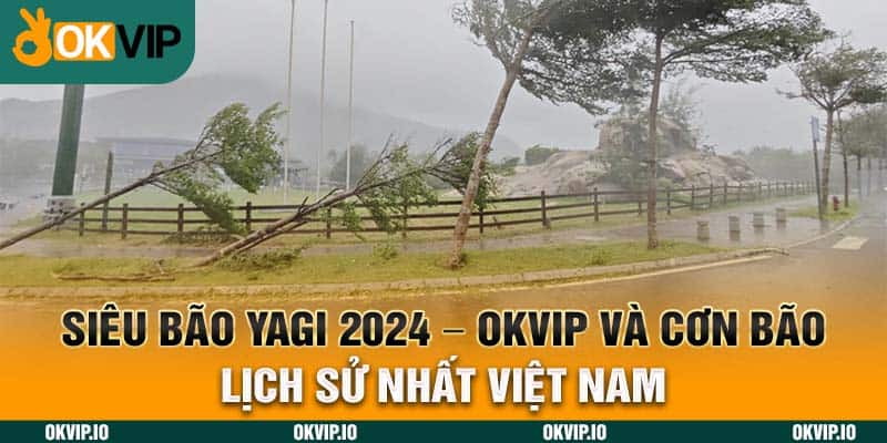 Siêu Bão Yagi 2024 - OKVIP và Cơn Bão Lịch Sự Nhất Việt Nam