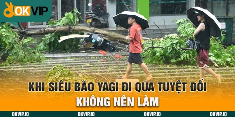 Khi siêu bão Yagi đi qua tuyệt đối không nên làm