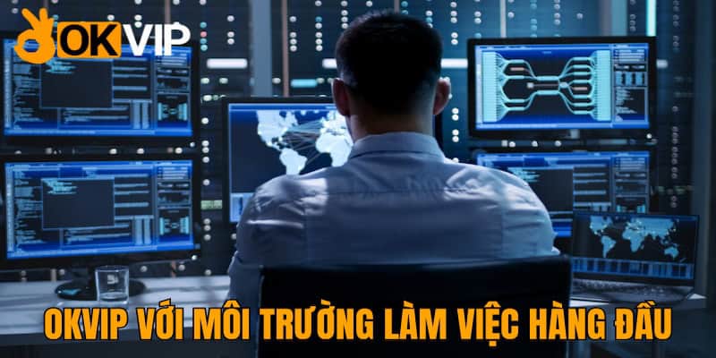 Giới thiệu về OKVIP và vị trí IT Web